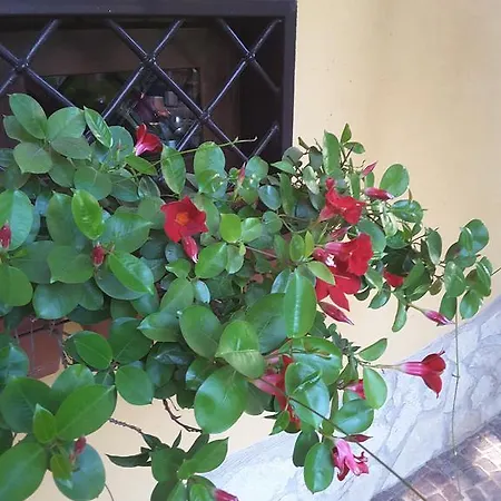 Nocleg ze śniadaniem La Casetta Giugliano In Campania